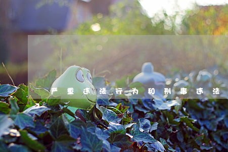 严重违法行为和刑事违法行为的关系 严重违法行为和刑事违法行为的关系