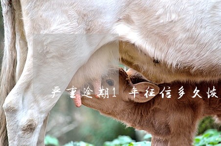 严重逾期1年征信多久恢复 严重逾期1年征信多久恢复