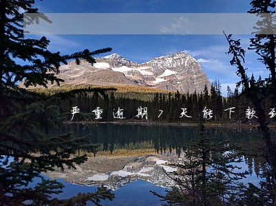 严重逾期7天能下款到的地方 严重逾期7天能下款到的地方