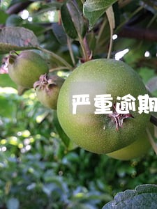 严重逾期信用卡作废怎么办 严重逾期信用卡作废怎么办