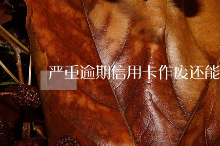 严重逾期信用卡作废还能恢复吗