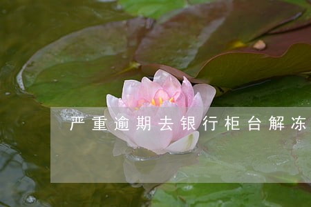 严重逾期去银行柜台解冻 严重逾期去银行柜台解冻
