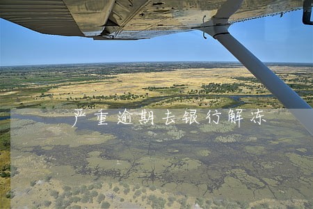 严重逾期去银行解冻 严重逾期去银行解冻
