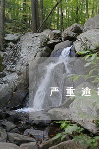 严重逾期可以办理信用卡吗 严重逾期可以办理信用卡吗