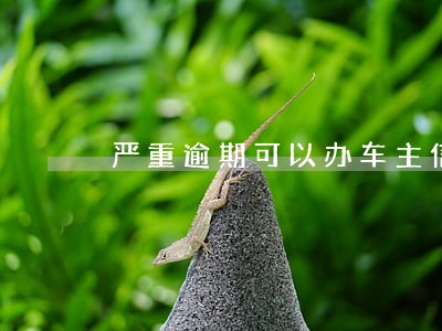 严重逾期可以办车主信用卡吗