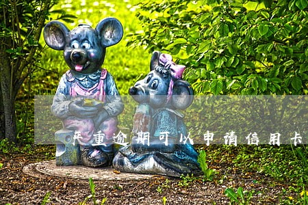 严重逾期可以申请信用卡吗 严重逾期可以申请信用卡吗