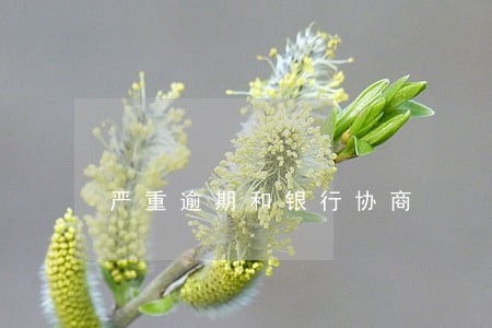 严重逾期和银行协商 严重逾期和银行协商