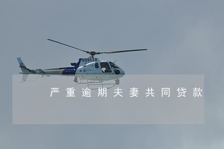 严重逾期夫妻共同贷款
