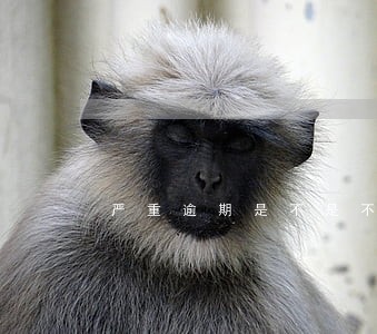 严重逾期是不是不能贷款了 严重逾期是不是不能贷款了