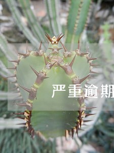 严重逾期注销的的兴业信用卡 严重逾期注销的的兴业信用卡