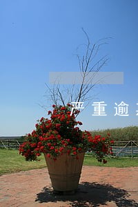 严重逾期能借5000