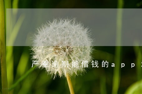 严重逾期能借钱的app2022
