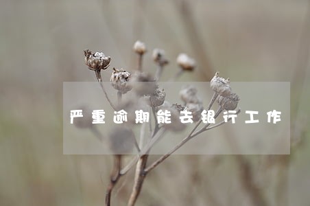 严重逾期能去银行工作 严重逾期能去银行工作