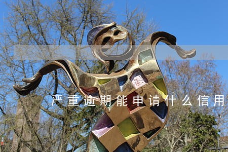 严重逾期能申请什么信用卡 严重逾期能申请什么信用卡