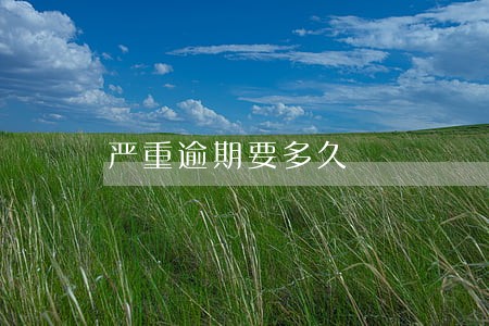严重逾期要多久 严重逾期要多久
