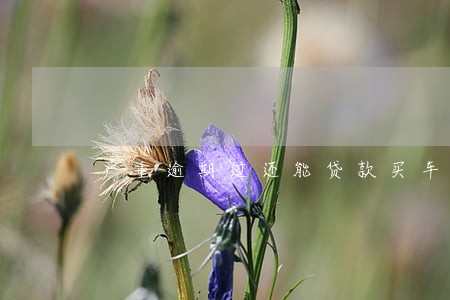 严重逾期过还能贷款买车吗 严重逾期过还能贷款买车吗