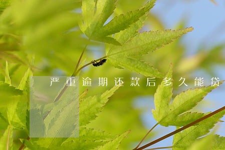 严重逾期还款后多久能贷款 严重逾期还款后多久能贷款