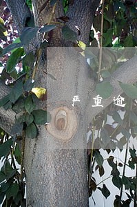 严重逾期还能贷款吗 严重逾期还能贷款吗