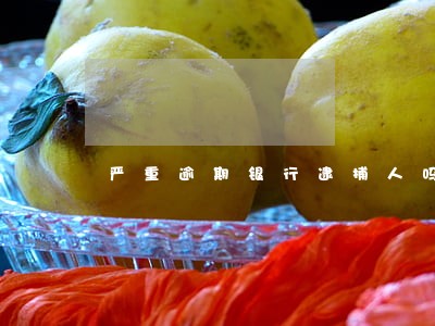 严重逾期银行逮捕人吗 严重逾期银行逮捕人吗