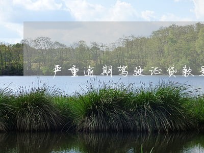 严重逾期驾驶证贷款是真的吗 严重逾期驾驶证贷款是真的吗