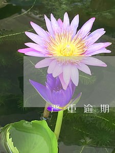严重逾期黑户都可以办信用卡吗 严重逾期黑户都可以办信用卡吗