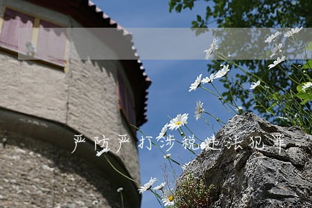 严防严打涉税违法犯罪 严防严打涉税违法犯罪