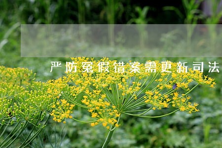 严防冤假错案需更新司法理念 严防冤假错案需更新司法理念