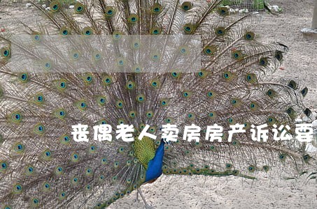 丧偶老人卖房房产诉讼要多少钱
