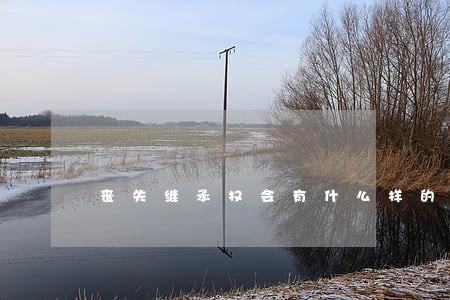 丧失继承权会有什么样的法律后果 丧失继承权会有什么样的法律后果