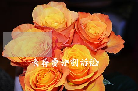 丧葬费分割诉讼 丧葬费分割诉讼