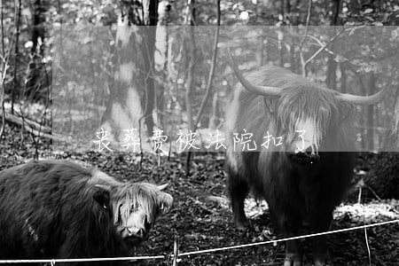 丧葬费被法院扣了 丧葬费被法院扣了