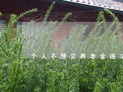 个人不想交养老金违法吗 个人不想交养老金违法吗