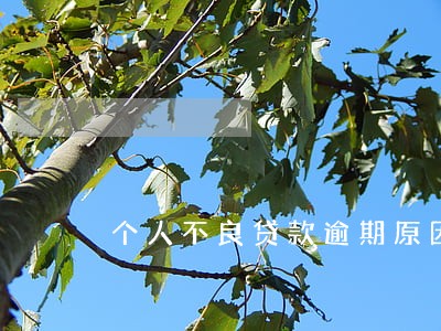 个人不良贷款逾期原因 个人不良贷款逾期原因