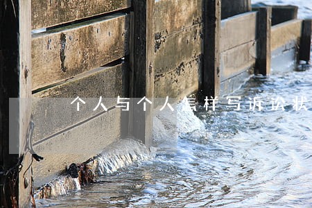 个人与个人怎样写诉讼状