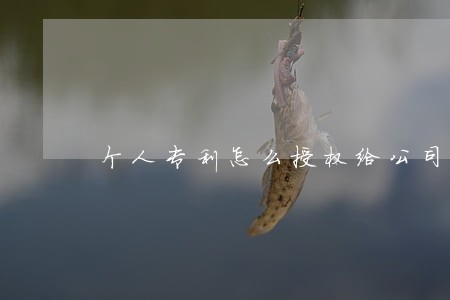 个人专利怎么授权给公司