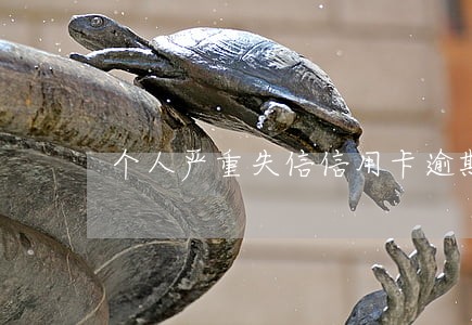 个人严重失信信用卡逾期