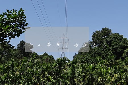 个人举牌广告违法吗