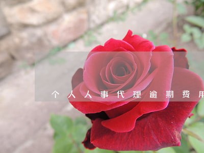 个人人事代理逾期费用 个人人事代理逾期费用