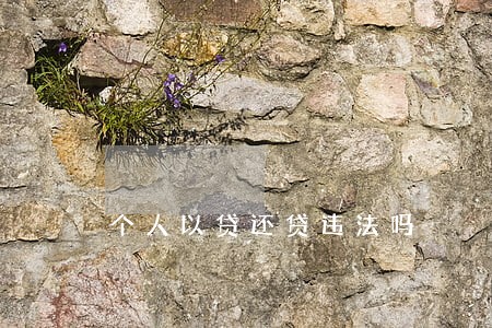 个人以贷还贷违法吗