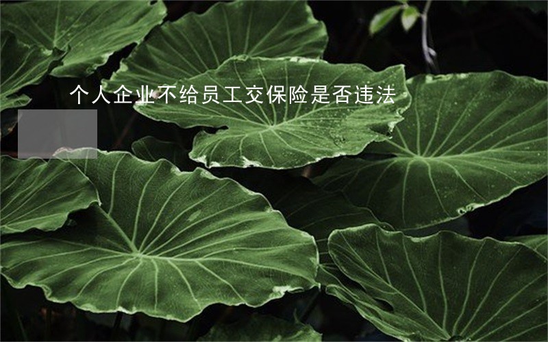 个人企业不给员工交保险是否违法 个人企业不给员工交保险是否违法