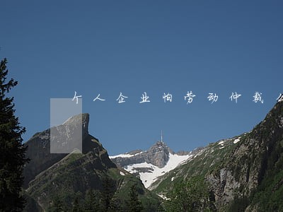 个人企业怕劳动仲裁么 个人企业怕劳动仲裁么