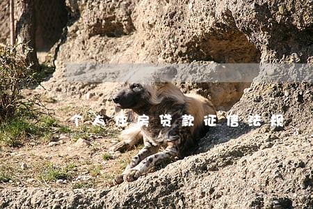 个人住房贷款征信法规 个人住房贷款征信法规