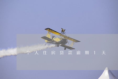 个人住房贷款逾期1天 个人住房贷款逾期1天