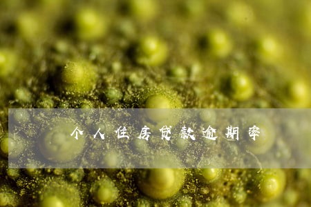 个人住房贷款逾期率 个人住房贷款逾期率