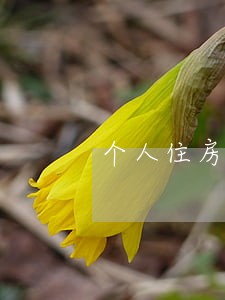 个人住房贷款逾期被结清 个人住房贷款逾期被结清
