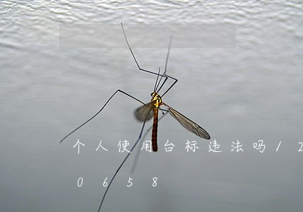 个人使用台标违法吗/2023020590658 个人使用台标违法吗/2023020590658