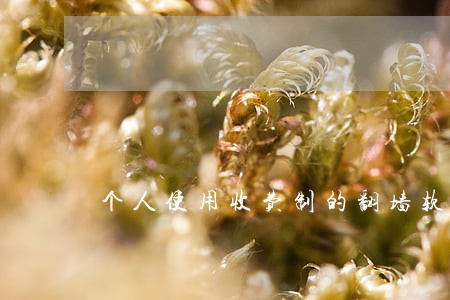 个人使用收费制的翻墙软件违法吗