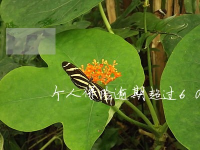 个人保险逾期超过60天 个人保险逾期超过60天