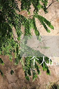 个人信息保护入民法总则草案 个人信息保护入民法总则草案