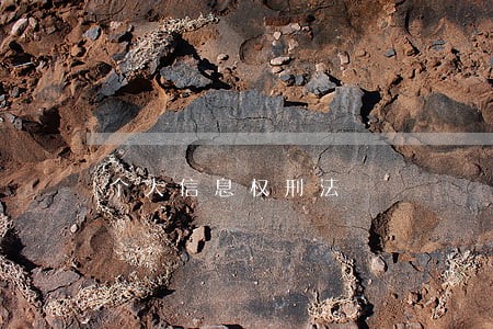 个人信息权刑法
